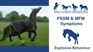 PSSM & MFM Symptoms- Explosive Behaviour