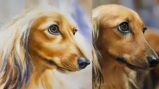 How to paint a dog portrait loose and wet on wet in Watercolor #watercoloranimals