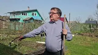 ГДЕ ОГУРЦЫ?