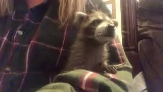 Sweet Baby!