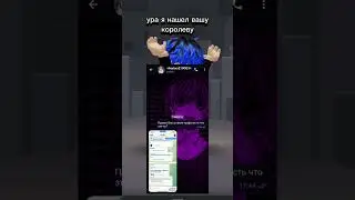 9 августа 2024 г.