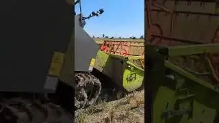 எங்கள் வயலில் அறுவடை