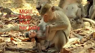 Mg! Why mom do like this her baby? Poor little baby push out by his mom due to he want to close with