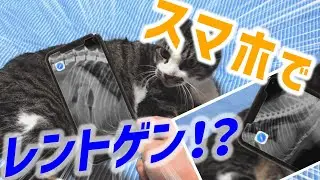 スマホのレントゲン機能！？