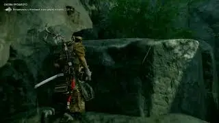 Ghost of tsushima. PS4 pro