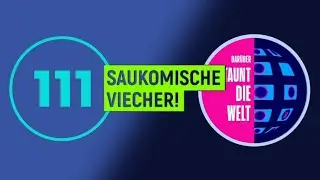 Clip-Compilations im TV: Ewig lebt die Billigshow!