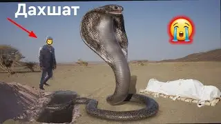 Дахшат. Имруз дар Кабристон вакти Чаноза чи Ходиса Содир шуд😱 Дил сустхо набинад