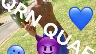 Quae style