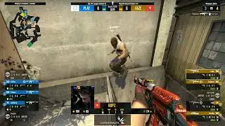 ropz deletes nafany from server