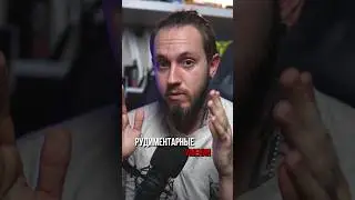 Рудиментарные умения
