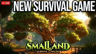 SMALLAND | COOP | PC WIDESCREEN LIVESTREAM