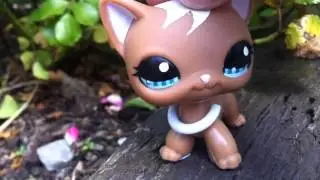 This is LPStube (For LPShannah)