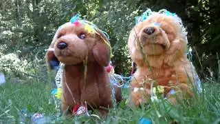 J & R 4th July Video