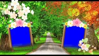 Wedding blue screen Effect HD Video 2023 green screen frame