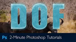 Depth Of Field in Photoshop | Photoshop Tutorial