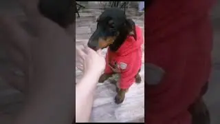 Если честно прогулка удалась,топки были не проблема👍😁