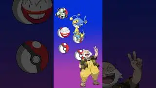 What if the Hoenn Gyms were Reversed?...
