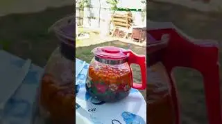Са хьоме Нохчичьо, ма чъог1 тасъеллакх хьох и бёх бидуинш !  Са хьоме Нохчи кхармалолаш !