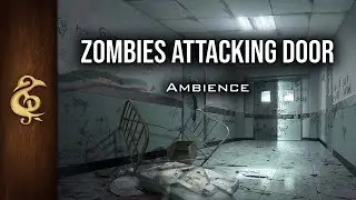 Zombies Attacking Door | Stressing ASMR Ambience | 1 Hour