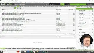 Screaming Frog SEO Spider  Работа с данными после сканирования