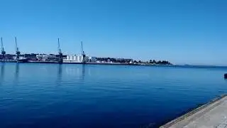 Rivermouth Dolphins - Golfinhos Rio Lima