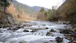 Брустурянка