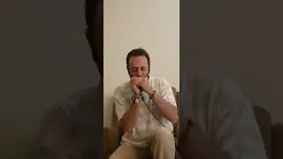Harmonica , Dilman,