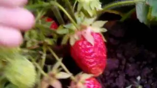 Заброшка смотрю что внутри