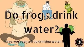 How do frogs drink water | frogs drink water through their mouth ? | interesting fact