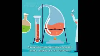 Impact of nanotechnology on Environment