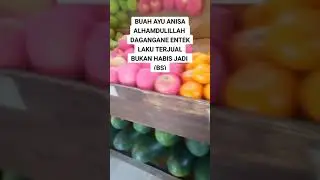 buah Ayu anisa