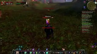 21 Druid vs 24 Mage World PvP WoW Classic Vanilla