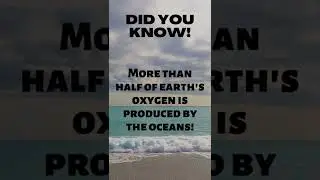 #didyouknow #information #ocean #world #facts #marine #didyouknowfacts #oxygen #nature