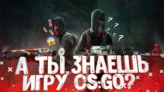 А НАСКОЛЬКО ХОРОШО ТЫ ЗНАЕШЬ ИГРУ CS:GO?|ТЕСТ НА ГЛОБАЛА