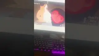 Dog vore 