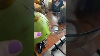 HOT AFRICA COCONUT WATER КОКОСЫ ВОДА ОКЕАН АФРИКА #shorts #coconut #coconutwater #africa #shorts_
