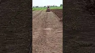 Pan Singh gondia 447 chhori thara baap numberi ke darvaje