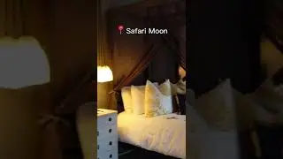 Unique Safari Lodge in South Africa