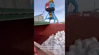 Погрузка аммиачной селитры производства АО "КазАзот" #новости #news
