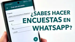 Así se crean encuestas en WhatsApp
