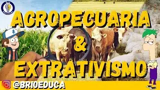 Geografia | Agropecuária e extrativismo: vegetal, animal e mineral |Ensino Fundamental|