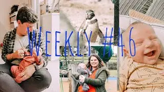 Weekly #46 - Baby's first smile and Weymouth Sealife