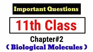 Biological Molecules Chapter | Repeatable Past Paper📝 Questions