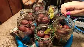 Слива маринованная.Pickled plum.