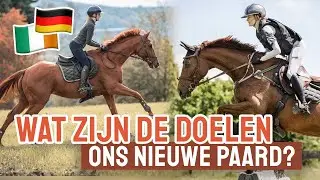 Q&A over het NIEUWE PAARD
