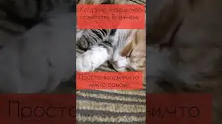 Это и есть новогодняя душевность. #цитаты