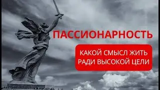 Что такое патриотизм и пассионарность