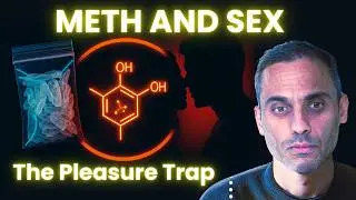 Meth, Sex & Dopamine - The Pleasure Trap That Hijacks Your Brain