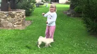 Oliver - pug and a girl