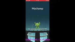 COMUNITY DAY MACHOP P 1